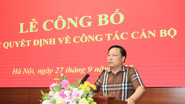 Chức năng, nhiệm vụ, quyền hạn và cơ cấu tổ chức của Cục Đường bộ Việt Nam