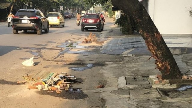 Tông vào gốc cây trong đêm, 2 thanh niên đi xe máy tử vong 