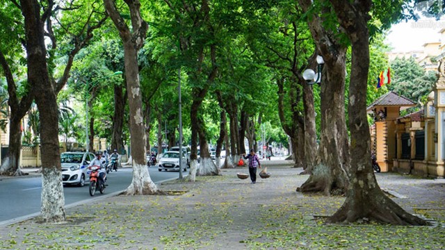 Thời tiết ngày 14/5: Miền Bắc trời dịu mát, nhiều khu vực trên cả nước tiếp tục mưa dông