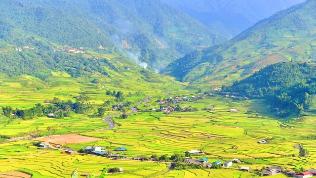 Có hẹn với mùa lúa chín rực sắc Thu vàng trên vùng cao Tây Bắc