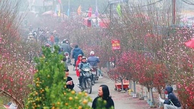 Hà Nội tổ chức 83 chợ hoa phục vụ Tết Nguyên đán 2024