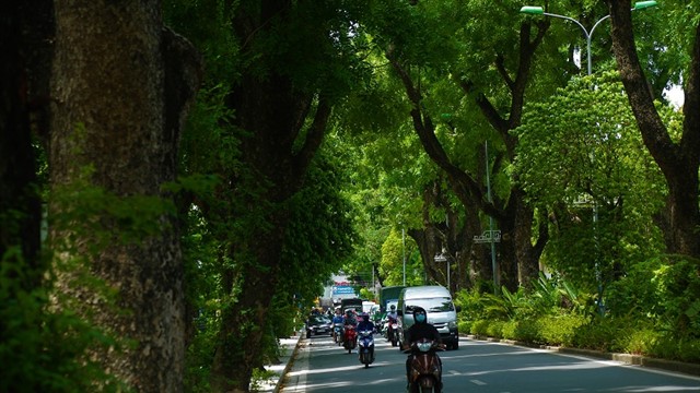Những con phố trở thành “thiên đường” giữa nắng hè Hà Nội 