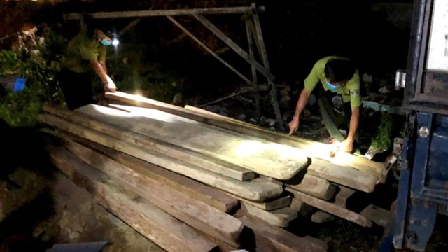 Người đàn ông vận chuyển nhiều gỗ quý qua chốt kiểm dịch