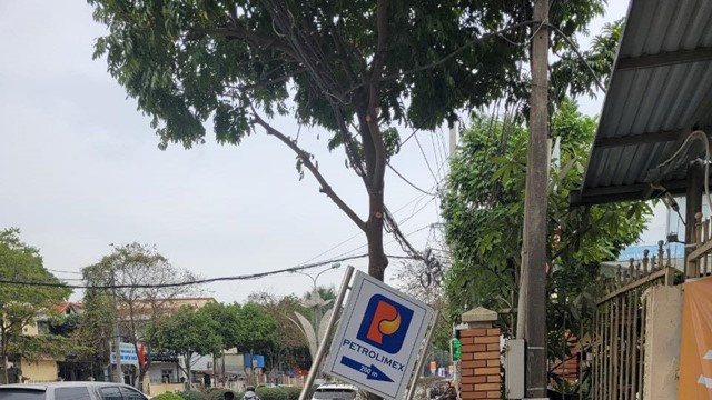 Cuộn thép lăn từ xe đầu kéo xuống đường đè bẹp ô tô con