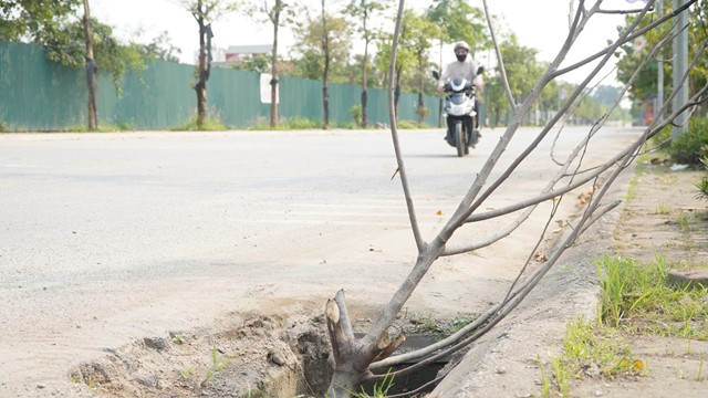 Hà Nội: Mất hàng loạt nắp cống trên đường Hoàng Sa