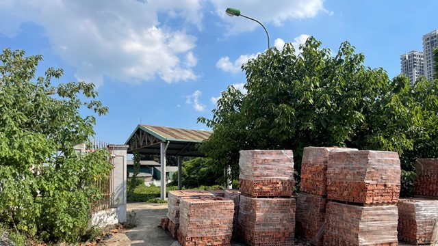 Quận Nam Từ Liêm: Cây dại, dây leo bao trùm chợ dân sinh Tây Mỗ