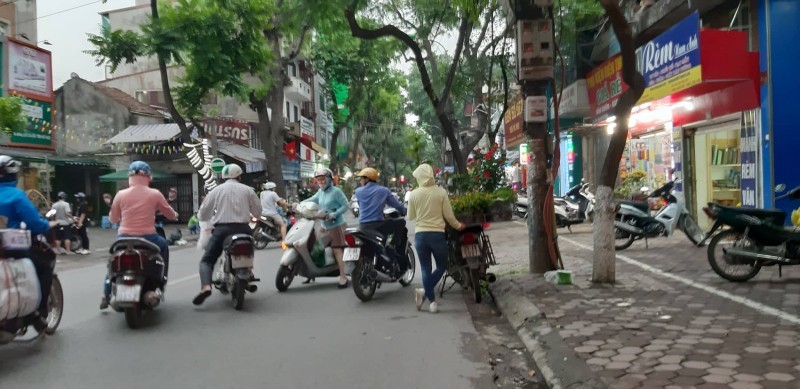 Lon xon cho hoa, cay canh tren duong Hoang Hoa Tham - Hinh anh 6