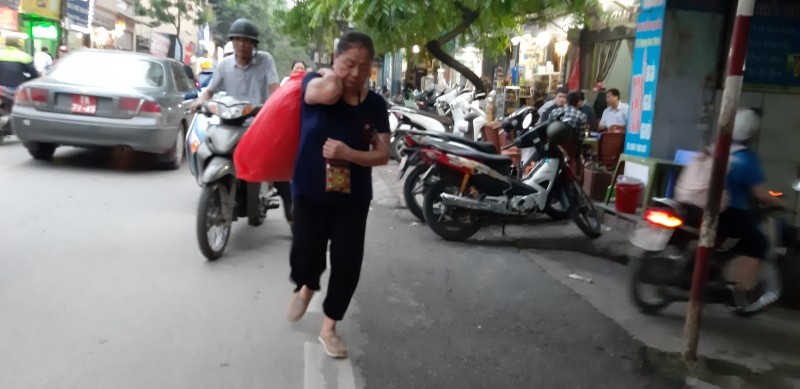 Lon xon cho hoa, cay canh tren duong Hoang Hoa Tham - Hinh anh 5