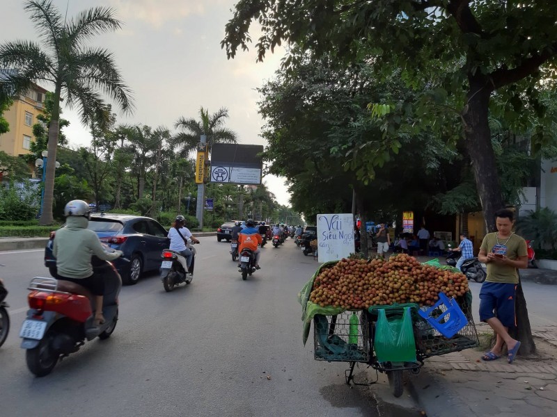 Via he Hoang Quoc Viet bien thanh long duong - Hinh anh 5