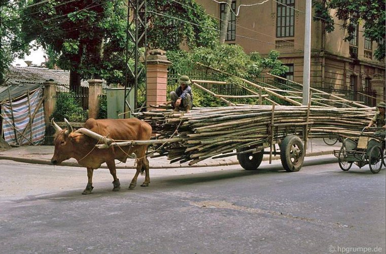 Hinh doc ve giao thong o Ha Noi dau thap nien 1990 - Hinh anh 6