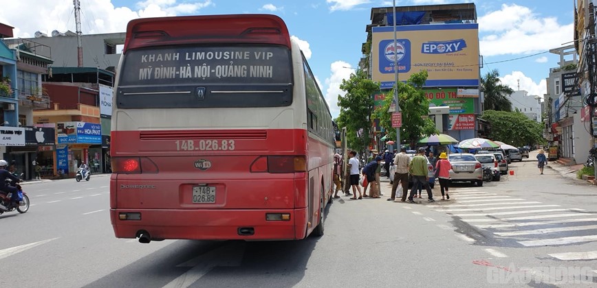 Quang Ninh: Ben coc ngang nhien “moc” tai diem dung do bi “xoa so“ - Hinh anh 1