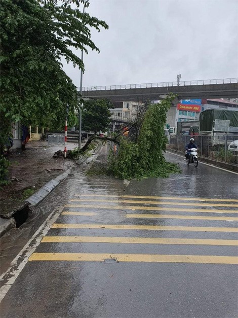 CSGT tuan tra luu dong, phan luong giao thong trong mua bao - Hinh anh 2