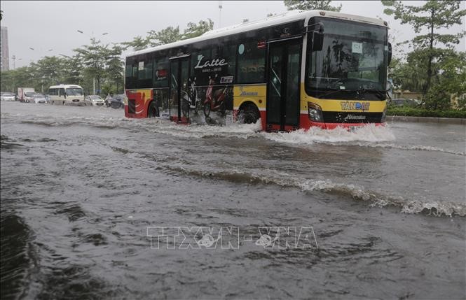  Ha Noi khan truong khac phuc ngap ung, do cay do bao so 3 - Hinh anh 2