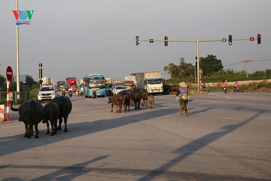 Tro lai 'cung duong tu than': Se con tai nan  - Hinh anh 19