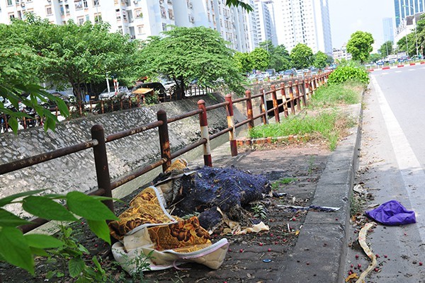 Rac tran lan tren con duong co canh quan dep vao loai bac nhat cua Thu do - Hinh anh 4