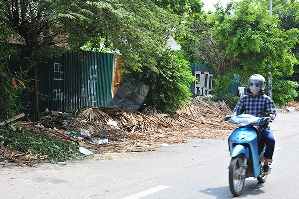 Rac tran lan tren con duong co canh quan dep vao loai bac nhat cua Thu do - Hinh anh 6