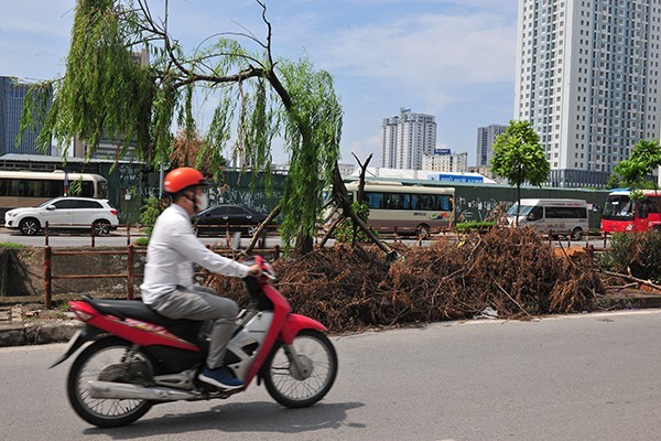 Rac tran lan tren con duong co canh quan dep vao loai bac nhat cua Thu do - Hinh anh 9