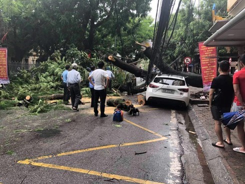 Mua lon o Hai Phong, cay do khien 1 nguoi bi thuong - Hinh anh 1