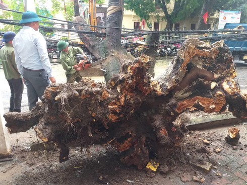 Mua lon o Hai Phong, cay do khien 1 nguoi bi thuong - Hinh anh 2