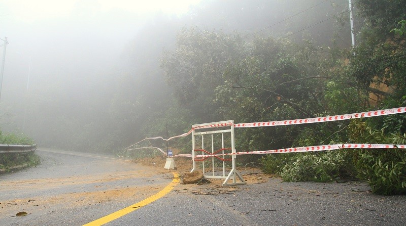 [Anh] Sat lo nghiem trong duong len dinh Son Tra - Hinh anh 3