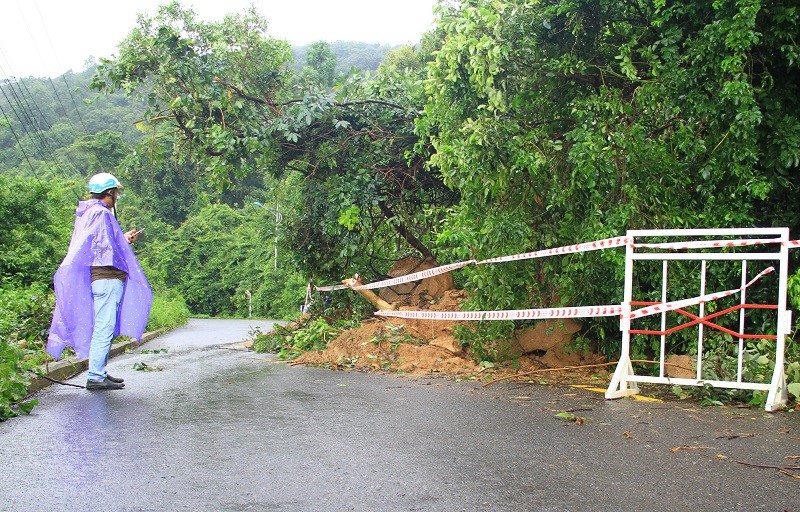 [Anh] Sat lo nghiem trong duong len dinh Son Tra - Hinh anh 5