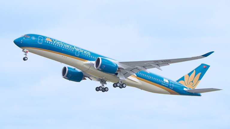 Vietnam Airlines tam dung khai thac them mot so duong bay - Hinh anh 1