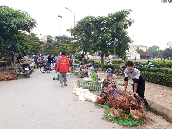 Ngoai thanh Ha Noi: Nhieu nguoi chu quan, lo la trong phong dich Covid-19 - Hinh anh 1