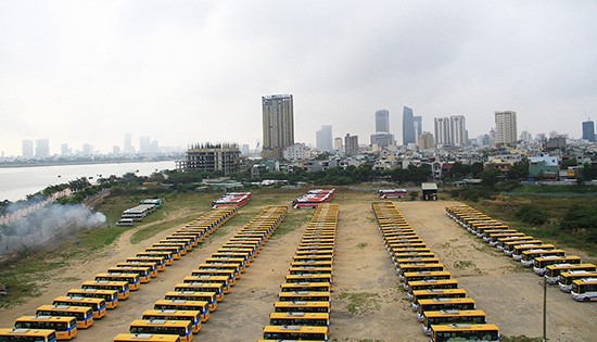 Da Nang hoat dong tro lai 12 tuyen buyt noi thanh - Hinh anh 1