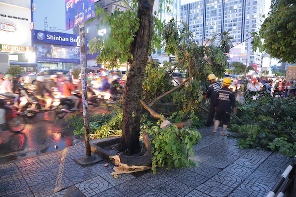 TP Ho Chi Minh: Mua nhu trut nuoc, duong ngap, cay do khap noi - Hinh anh 7