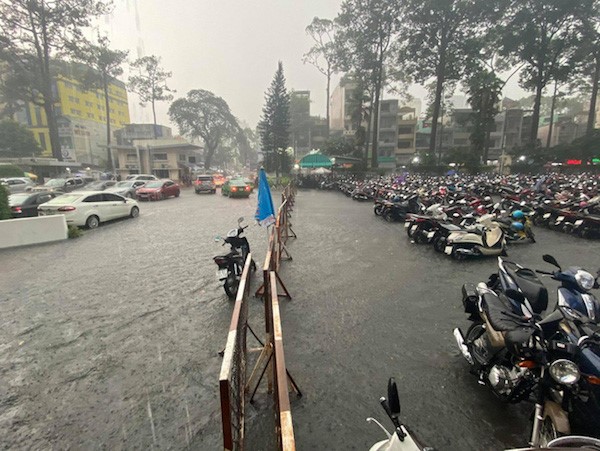 TP Ho Chi Minh: Mua nhu trut nuoc, duong ngap, cay do khap noi - Hinh anh 2