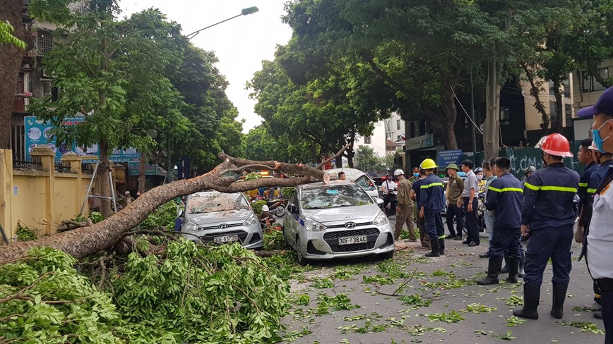 Ha Noi: Cay xa cu do de trung 3 o to tren duong Tran Hung Dao - Hinh anh 1