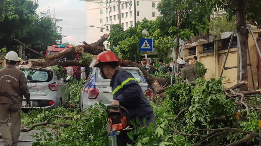 Ha Noi: Cay xa cu do de trung 3 o to tren duong Tran Hung Dao - Hinh anh 2