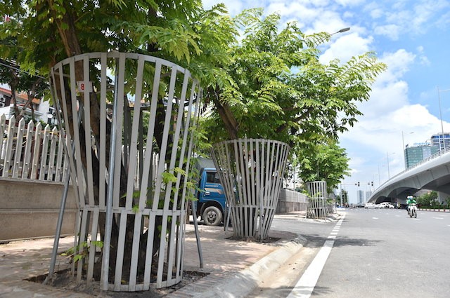 Ha Noi: Truyen dich cuu hang cay sua quy hiem tren duong Nguyen Van Huyen - Hinh anh 1