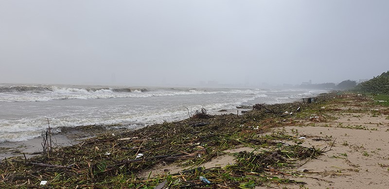 Da Nang: Mua to gio lon khien 3 nguoi mat tich, duong pho ngap nuoc - Hinh anh 7