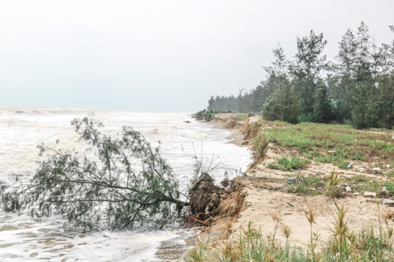 Ha Tinh: Mua lon khien nhieu tuyen duong, bo bien bi sat lo nghiem trong - Hinh anh 4