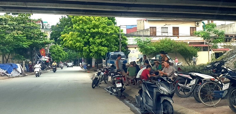 Nhieu gam cau o Hai Phong bi lan chiem - Hinh anh 2