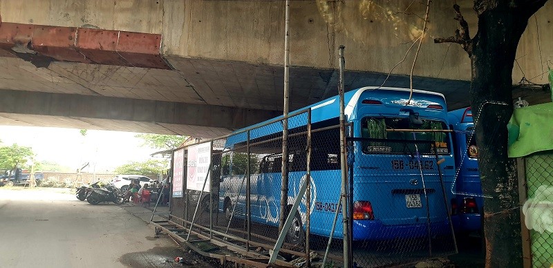 Nhieu gam cau o Hai Phong bi lan chiem - Hinh anh 8