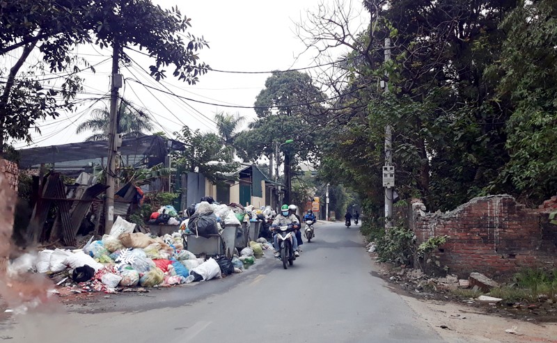 [Ban doc viet] Rac chiem long duong! - Hinh anh 1