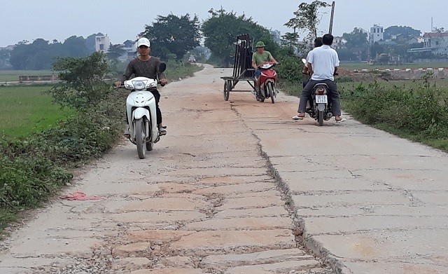 Tuyen de Ta Bui - Huu Day keu cuu - Hinh anh 1