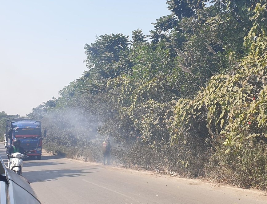 Ha Noi: Bao dong hanh vi dot lua gay chay tham cay xanh tren cac tuyen duong lon - Hinh anh 1