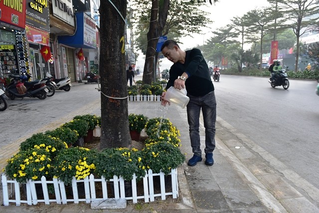 “Con duong hoa” chao mung Dai hoi Dang cua can bo, nhan dan phuong Quan Hoa - Hinh anh 5