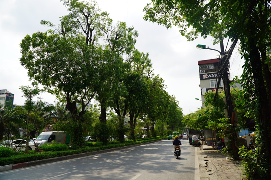 Xanh muot hang xa cu co thu truoc thong tin mo rong duong Lang - Hinh anh 2