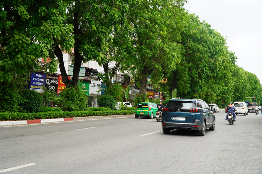 Xanh muot hang xa cu co thu truoc thong tin mo rong duong Lang - Hinh anh 14