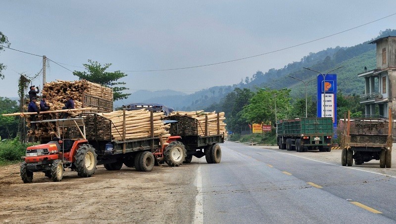 Quang Binh: vao cuoc xu ly vi pham trat tu ATGT tai Nga ba Khe Ve - Hinh anh 3