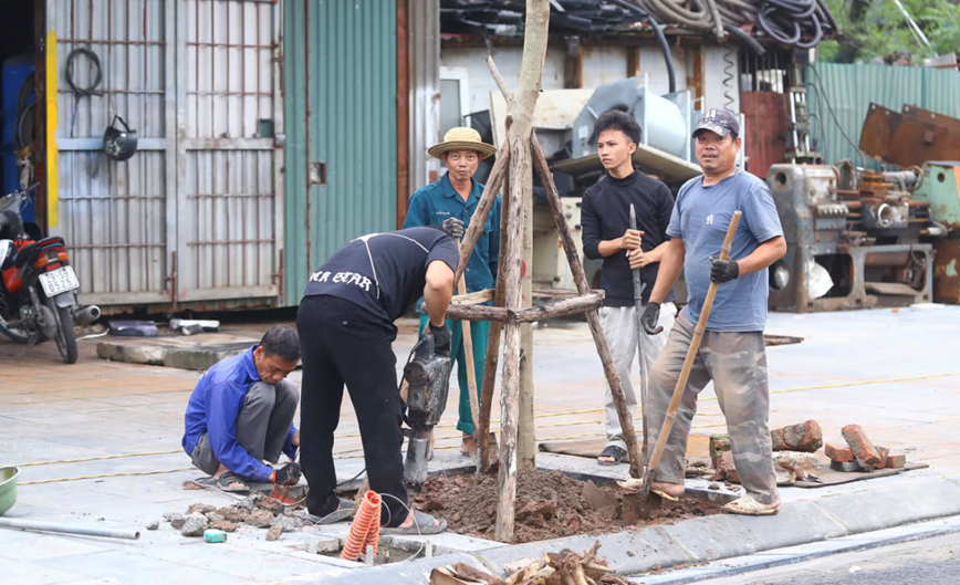Toan canh du an mo rong duong Tam Trinh hon 3.000 ty dong o Ha Noi - Hinh anh 8