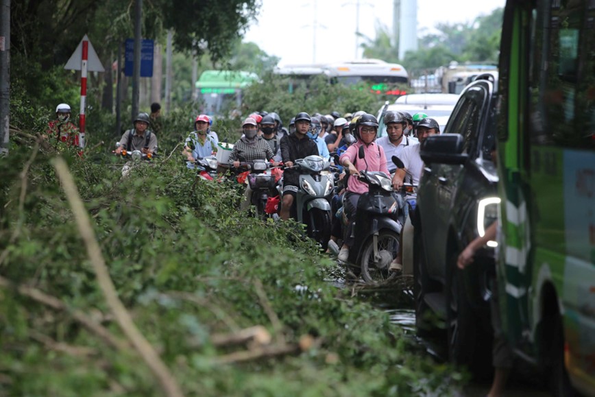 Cay xanh nga do khien duong pho Ha Noi un tac nghiem trong - Hinh anh 18