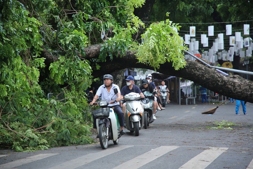 Cay xanh nga do khien duong pho Ha Noi un tac nghiem trong - Hinh anh 17