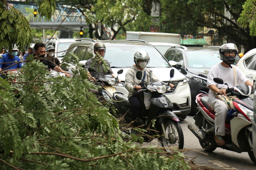 Cay xanh nga do khien duong pho Ha Noi un tac nghiem trong - Hinh anh 14