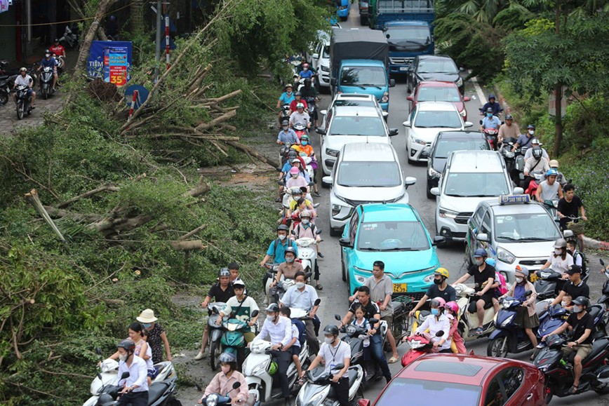 Cay xanh nga do khien duong pho Ha Noi un tac nghiem trong - Hinh anh 1