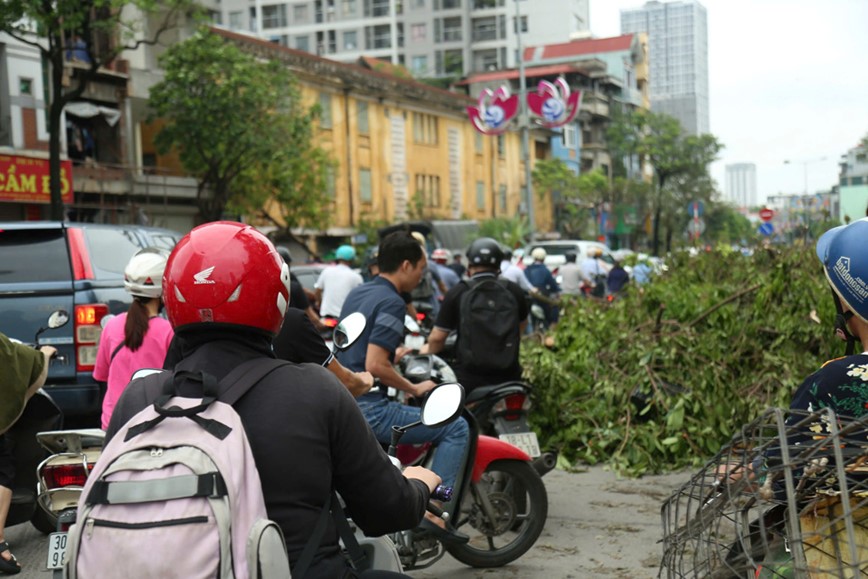 Cay xanh nga do khien duong pho Ha Noi un tac nghiem trong - Hinh anh 6